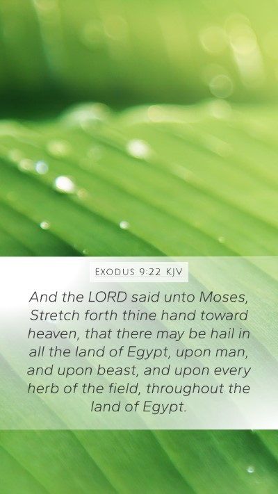 Exodus 9:22 KJV Bible Verse Image