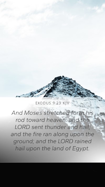 Exodus 9:23 KJV Bible Verse Image