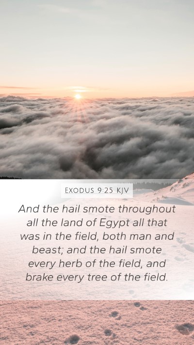 Exodus 9:25 KJV Bible Verse Image