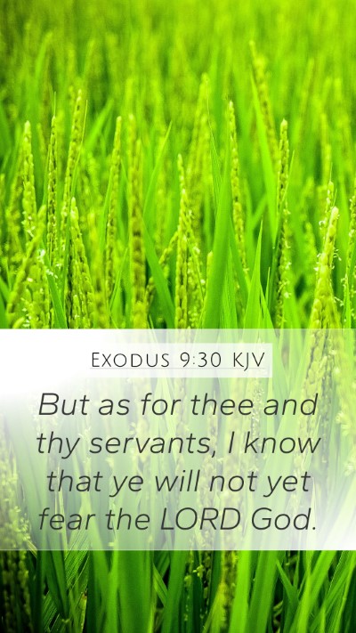 Exodus 9:30 KJV Mobile Phone Wallpaper - But as for thee and thy servants, I know that ye - Mobile Bible Verse Wallpaper