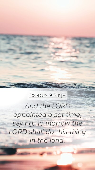 Exodus 9:5 KJV Bible Verse Image