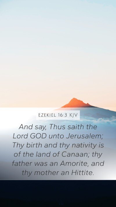 Ezekiel 16:3 KJV Bible Verse Image