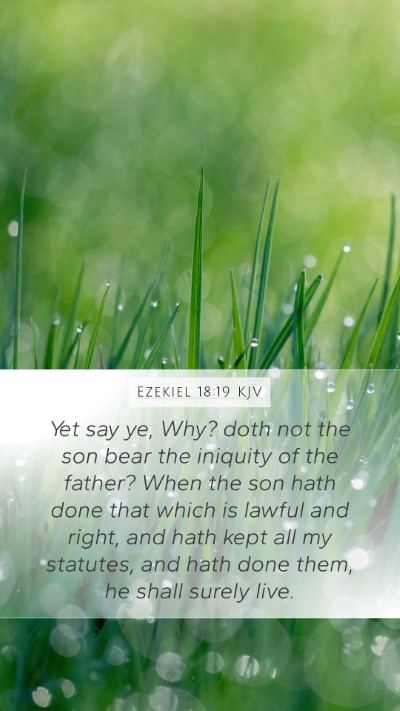 Ezekiel 18:19 KJV Bible Verse Image