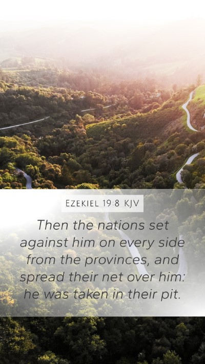 Ezekiel 19:8 KJV Bible Verse Image
