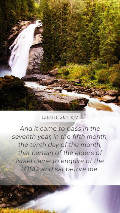 Ezekiel 20:1 KJV Bible Verse Image