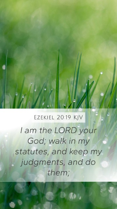 Ezekiel 20:19 KJV Bible Verse Image
