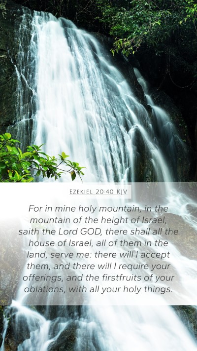 Ezekiel 20:40 KJV Bible Verse Image
