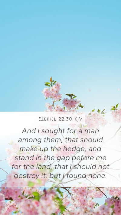 Ezekiel 22:30 KJV Bible Verse Image