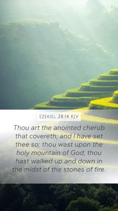 Ezekiel 28:14 KJV Bible Verse Image