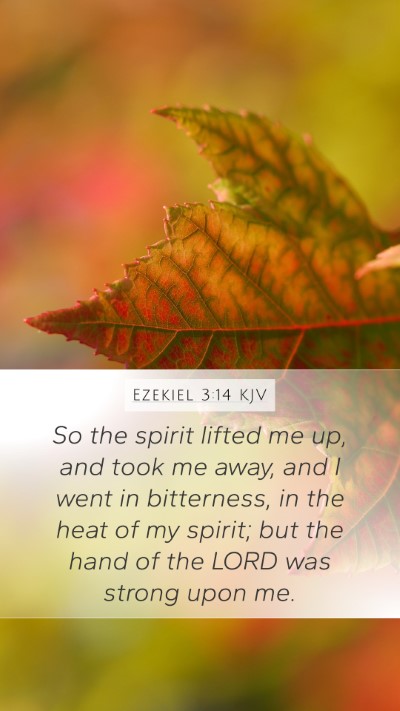Ezekiel 3:14 KJV Bible Verse Image
