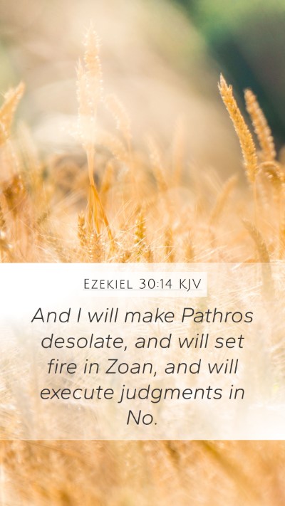 Ezekiel 30:14 KJV Bible Verse Image