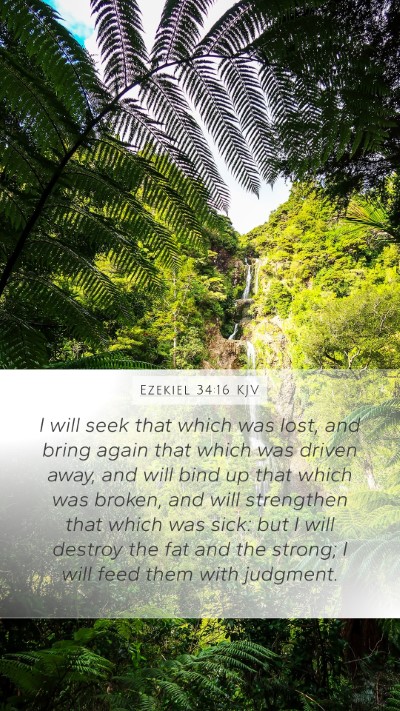 Ezekiel 34:16 KJV Bible Verse Image