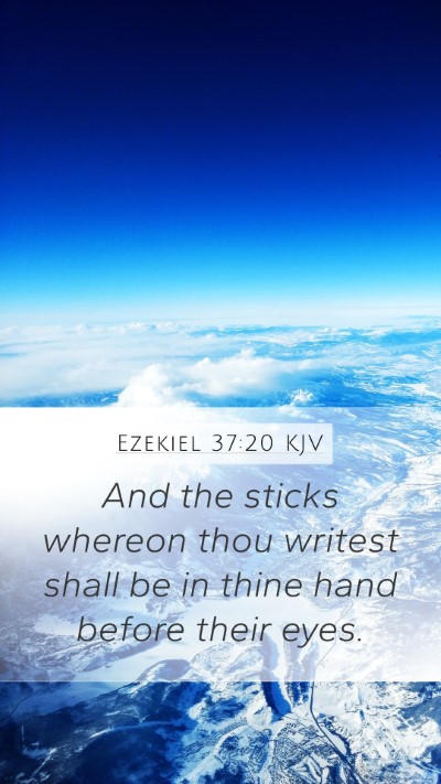 Ezekiel 37:20 KJV Bible Verse Image