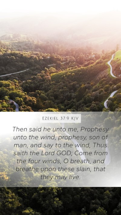 Ezekiel 37:9 KJV Bible Verse Image