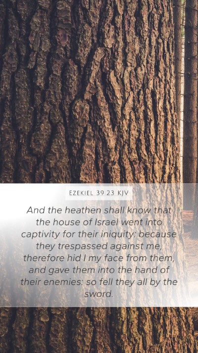 Ezekiel 39:23 KJV Bible Verse Image