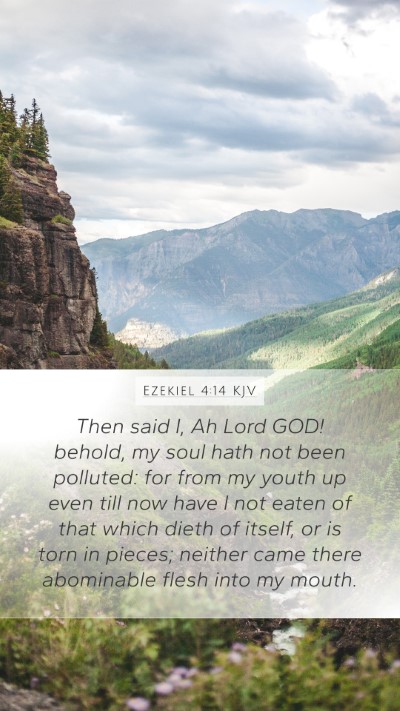 Ezekiel 4:14 KJV Bible Verse Image