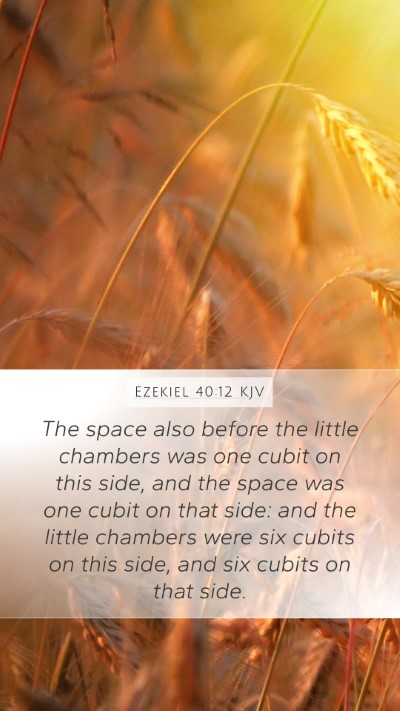 Ezekiel 40:12 KJV Mobile Phone Wallpaper - The space also before the little chambers was one - Mobile Bible Verse Wallpaper