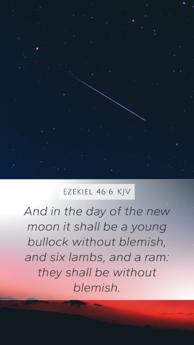 Ezekiel 46:6 KJV Bible Verse Image
