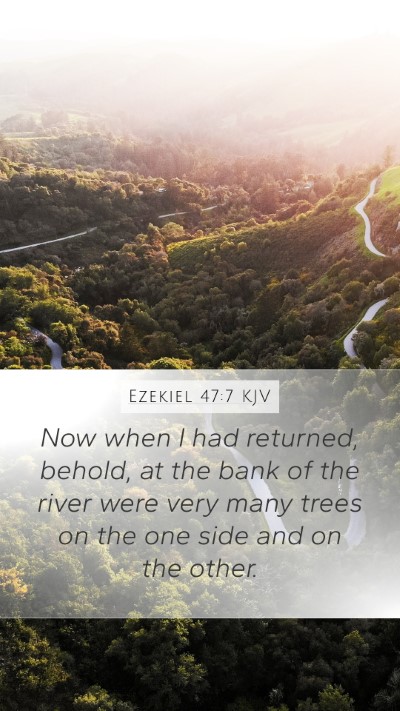 Ezekiel 47:7 KJV Bible Verse Image