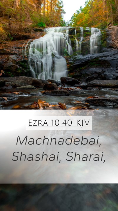 Ezra 10:40 KJV Mobile Phone Wallpaper - Machnadebai, Shashai, - Mobile Bible Verse Wallpaper
