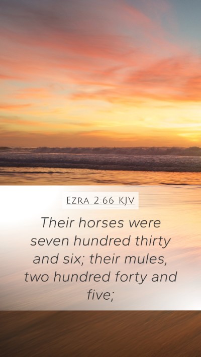 Ezra 2:66 KJV Bible Verse Image