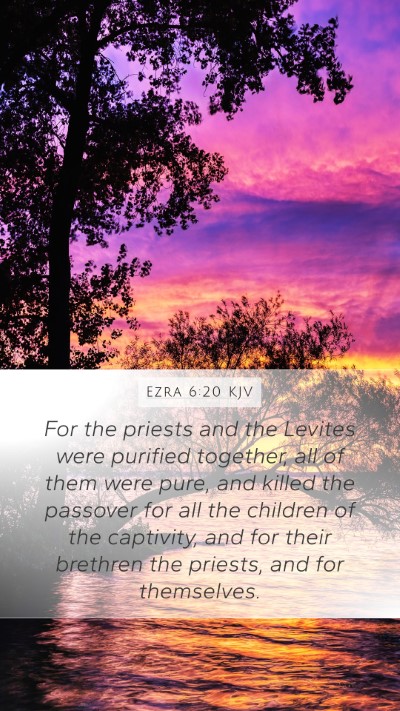 Ezra 6:20 KJV Bible Verse Image