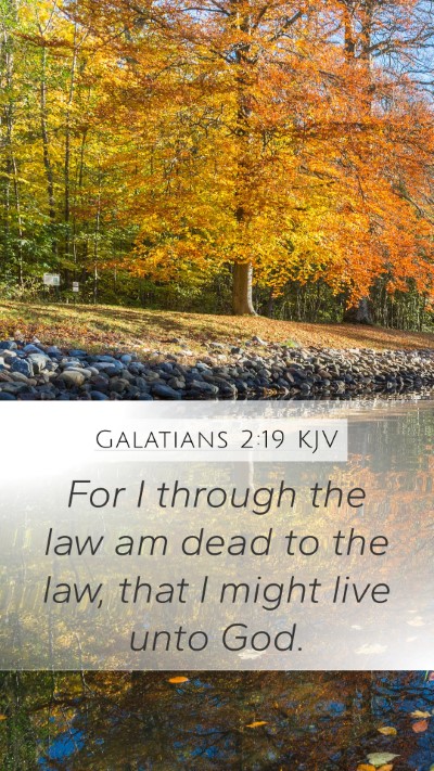 Galatians 2:19 KJV Bible Verse Image