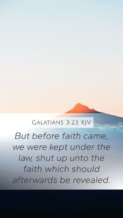 Galatians 3:23 KJV Bible Verse Image