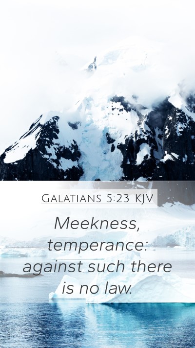 Galatians 5:23 KJV Bible Verse Image