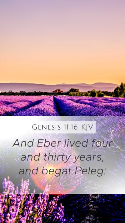 Genesis 11:16 KJV Bible Verse Image