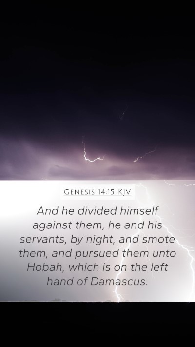Genesis 14:15 KJV Bible Verse Image