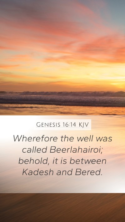 Genesis 16:14 KJV Bible Verse Image