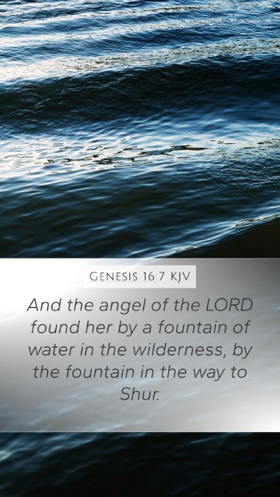 Genesis 16:7 KJV Bible Verse Image