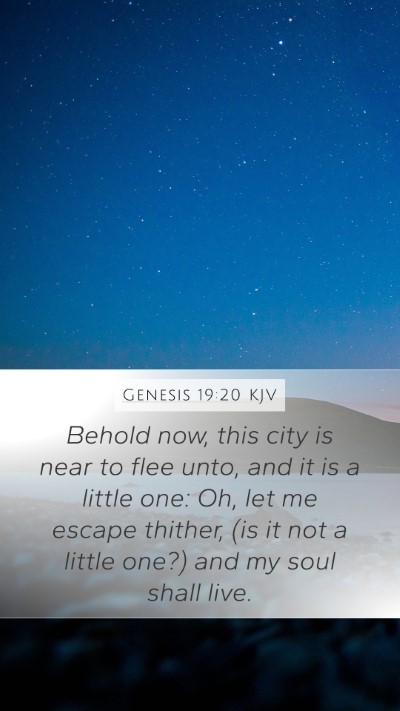 Genesis 19:20 KJV Bible Verse Image