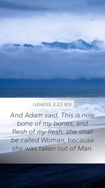 Genesis 2:23 KJV Bible Verse Image