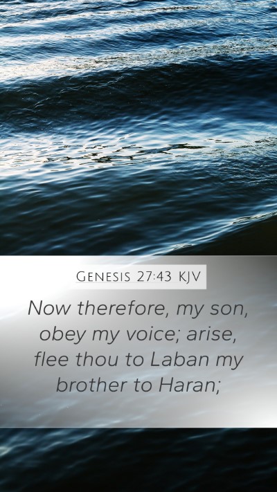 Genesis 27:43 KJV Bible Verse Image
