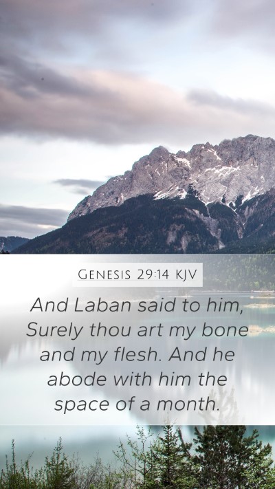 Genesis 29:14 KJV Bible Verse Image