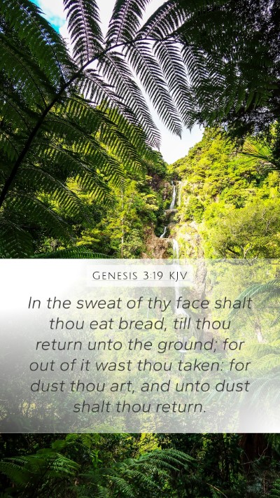 Genesis 3:19 KJV Bible Verse Image