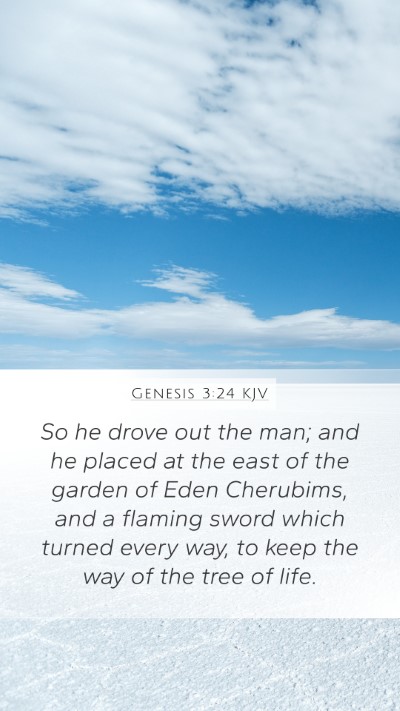 Genesis 3:24 KJV Bible Verse Image