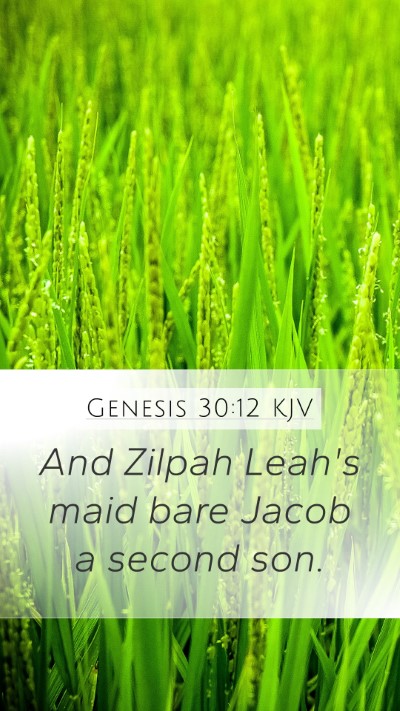 Genesis 30:12 KJV Bible Verse Image
