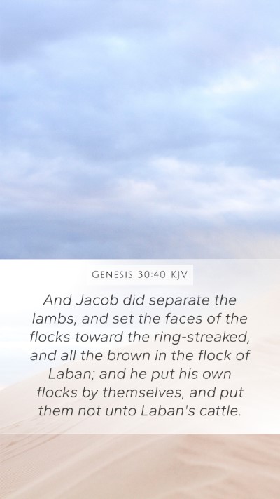 Genesis 30:40 KJV Mobile Phone Wallpaper - And Jacob did separate the lambs, and set the - Mobile Bible Verse Wallpaper