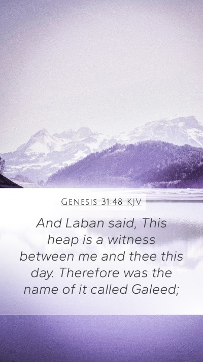 Genesis 31:48 KJV Bible Verse Image