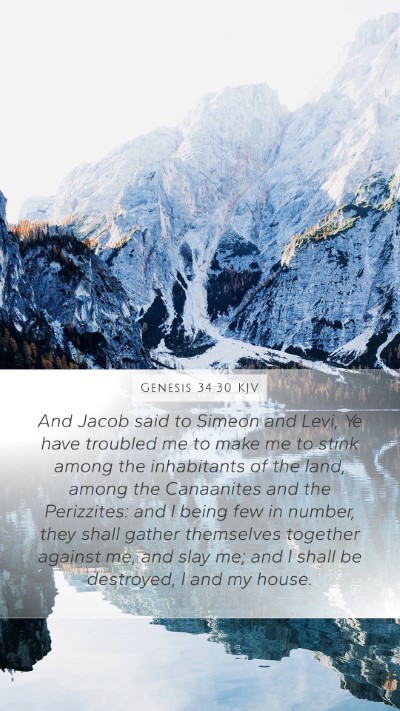 Genesis 34:30 KJV Bible Verse Image