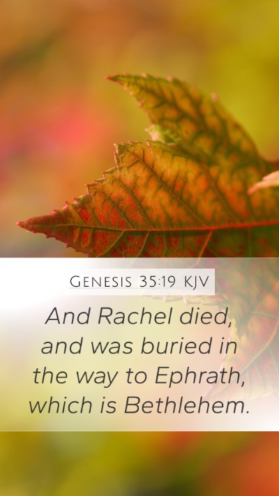 Genesis 35:19 KJV Bible Verse Image