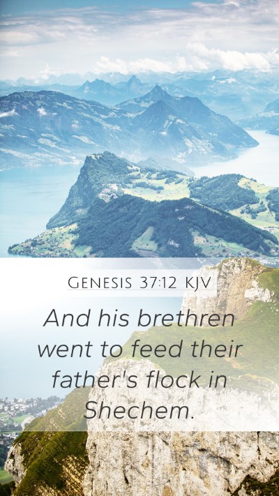 Genesis 37:12 KJV Bible Verse Image