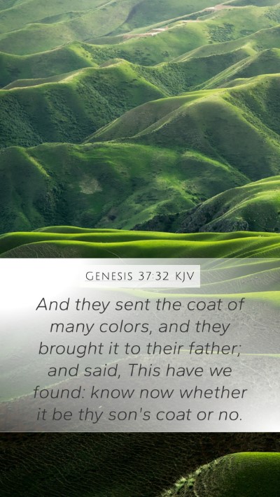 Genesis 37:32 KJV Bible Verse Image