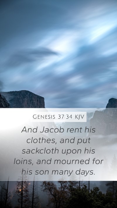 Genesis 37:34 KJV Bible Verse Image