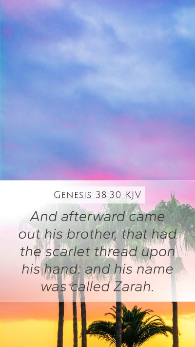 Genesis 38:30 KJV Bible Verse Image