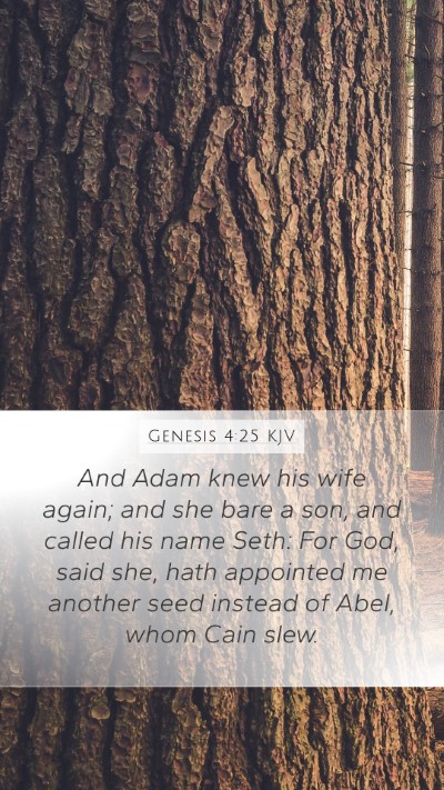Genesis 4:25 KJV Bible Verse Image