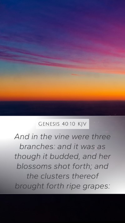 Genesis 40:10 KJV Mobile Phone Wallpaper - And in the vine were three branches: and it was - Mobile Bible Verse Wallpaper